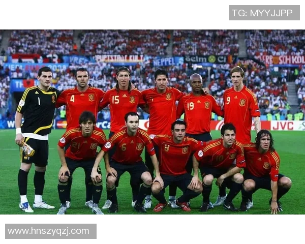 2008欧洲杯精彩回顾与各国阵容分析及球员表现总结